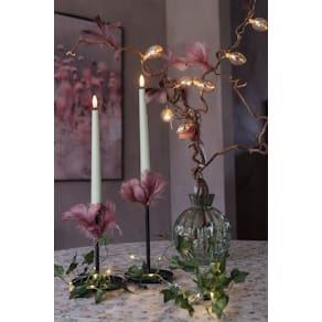 Antikljus STAR T LED Candy 26cmgrön 2/fp