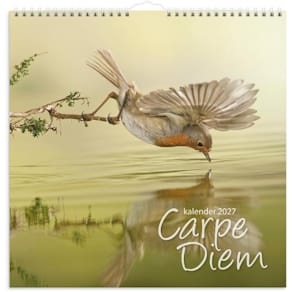 Väggkalender Carpe Diem 2027