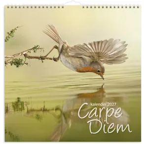 Väggkalender Carpe Diem 2027