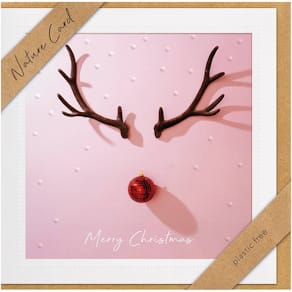 Weihnachtskarte BSB, Motiv Weihnachten