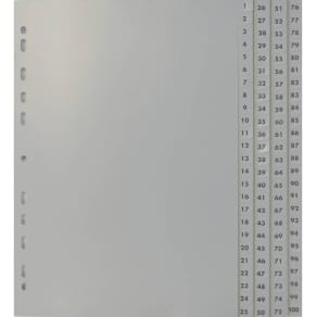 Ordnerregister A4, 1–100, grau