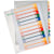 Projectindexen Leitz PC-printbaar, 12 tabs, A4+, 11-gaats, 300 micron