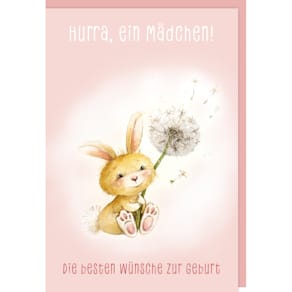 Servietten Braun+Company Freudiges Ereignis, rosa