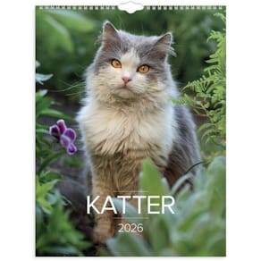 Veggkalender GRIEG 2026 Katter