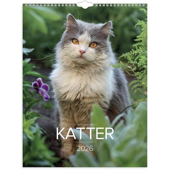 Veggkalender GRIEG 2026 Katter