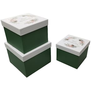 Geschenkkarton PBS Weihnachten Zweige, weiß/grün