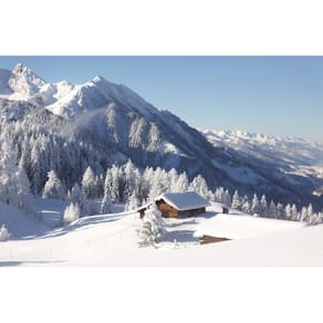 Weihnachtskarte SKORPION, ohne Text