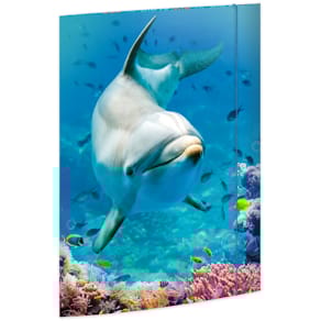 Gummizugmappe RNK Dolphin, A3, bunt