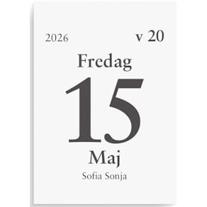 Dagblock 2026 75x107mm