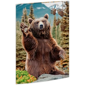 Gummizugmappe RNK A3 Bär