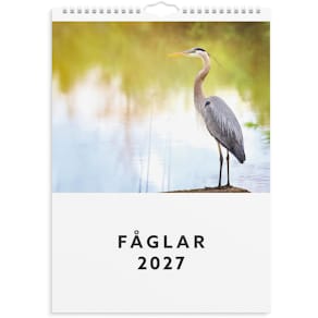 Burde Väggkalender Fåglar 2027