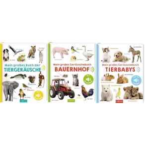 Bilderbuch ARS EDITION Geräusche, sortiert, 3 Titel