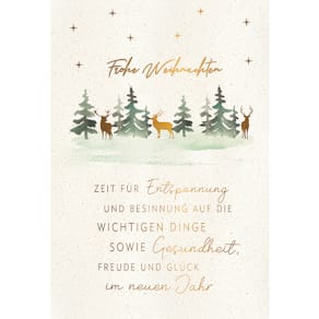 Weihnachtskarte Noname Doppeltext, geprägt, bunt, mit Umschlag