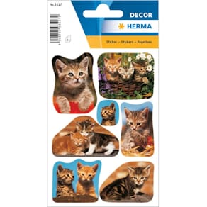 Schmucketiketten HERMA Katzenfotos, 21 Stück