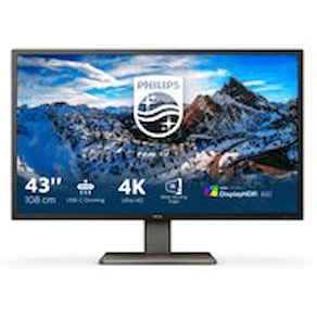 Philips 439P1 - LED-skärm - 43" - 3840 x 2160 4K @ 60 Hz - VA