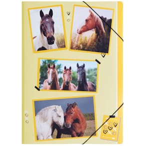 Sammelmappe PAGNA xoxo Horse, A4, PP