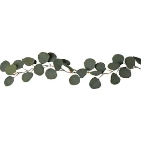 Ljusslinga Eucalyptus timer 180cm