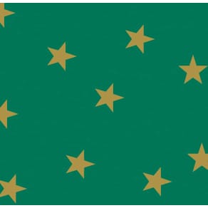 Fotokarton Folia, 50 x 70 cm, Sterne, grün