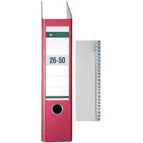 Registerserie Leitz 26-50, A4, grau, überbreit