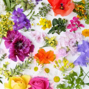 Serviette PAPER+DESIGN Motivserviette, 33 x 33 cm