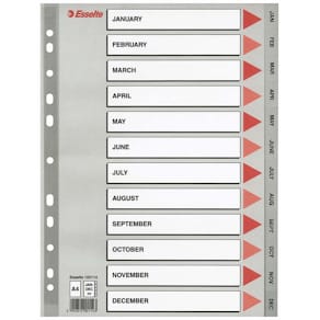 Register Esselte A4 grå, 10 sæt