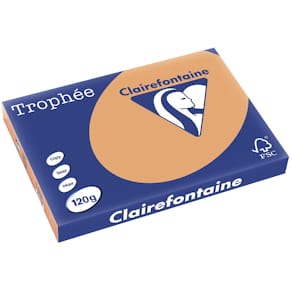 Gekleurd papier Clairefontaine Trophée Pastel, A3, 120 g, 250 vel