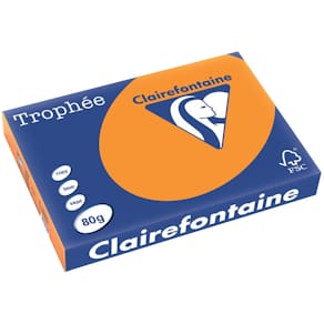 Gekleurd papier Clairefontaine Trophée Pastel, A3, 80 g, 500 v
