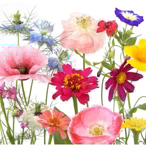 Serviette PAPER+DESIGN Motivserviette, 33 x 33 cm