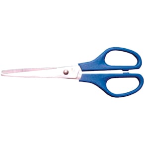 Schaar Bouhon Inox, 16 cm, rechtshandig, blauw