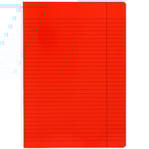 Schulheft Landré Diarie, A4, 40 Blatt, liniert, sortiert