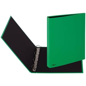 Ringbuch PAGNA Basic Colours, A4, grün