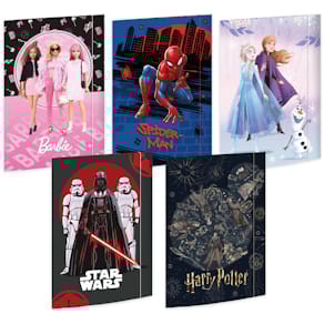 Gummizugmappe RNK Lizenz, sortiert, A3, 15 Stück