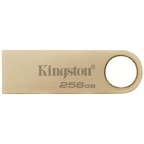 Kingston DataTraveler SE9 G3 - USB flash-enhet - 256 GB - USB