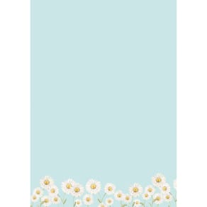 Designpapier Rössler Marguerite, DIN A4, 50 Blatt, neutral