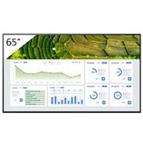 Sony Bravia Professional Displays FW-65BZ30L - 65" Diagonal
