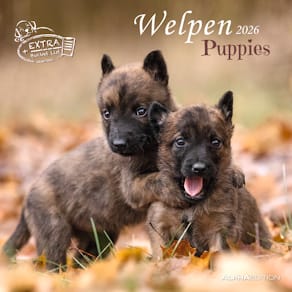 Bildkalender Alpha Edition Welpen 2026, 30 x 60 cm