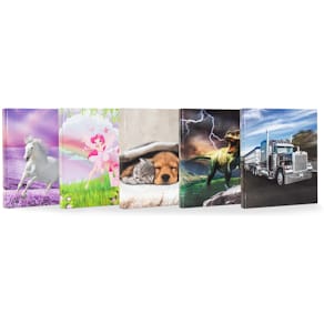 Schulordner DONAU Motivserie, A4, 2 Ringe, sortiert