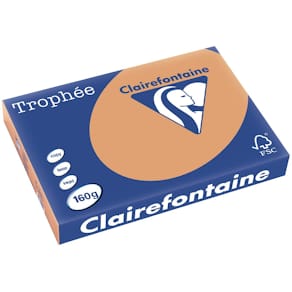 Gekleurd papier Clairefontaine Trophée Pastel, A3, 160 g, 250 vel