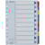Register ESSELTE Mylar A4 1-10 multifärgat