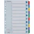 Register ESSELTE Mylar A4 1-10 multifärgat