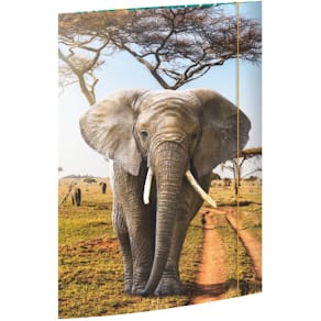 Gummizugmappe RNK Elefant, A3