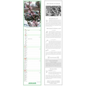 Streifenkalender Alpha Paules Gartenplaner, 11,3 x 49,5 cm, FSC-z