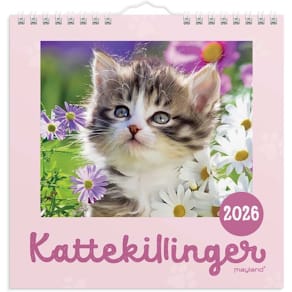 Kalender Mayland kattekillinger MINI 2026, assorteret