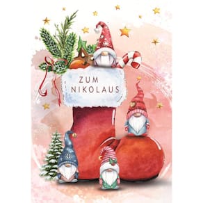 Nikolauskarte Noname, bunt, mit Umschlag, witziges Motiv