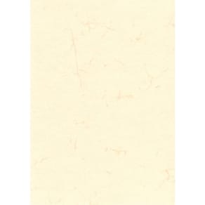 Urkunde RNK Elefantenhaut, A4, weiß, 190 g/m², 10 Blatt