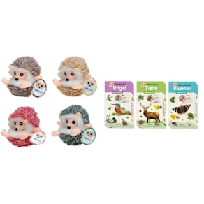 Kinderspiele-Display TRÖTSCH, 13 St.