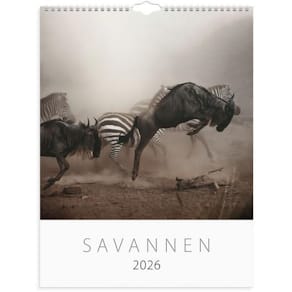 Väggkalender Savannen 2026
