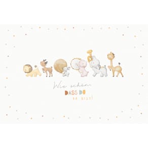 Grußkarten-Set Freudiges Ereignis, zur Geburt, 5 Stück