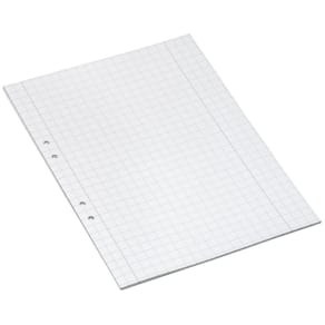 Lösblad A4 rutat 10x10mm hålat 500/fp