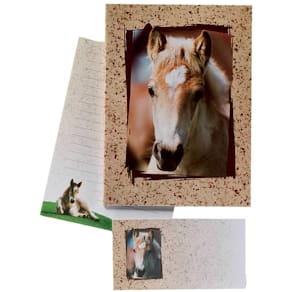 Briefpapiermappe DFW Kinder 10/10, braun